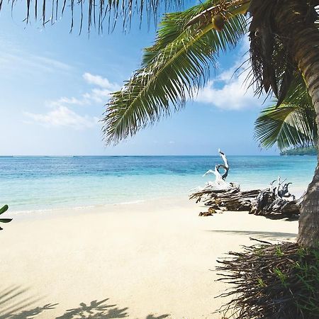 New Emerald Cove Hotel باي سانت آن المظهر الخارجي الصورة